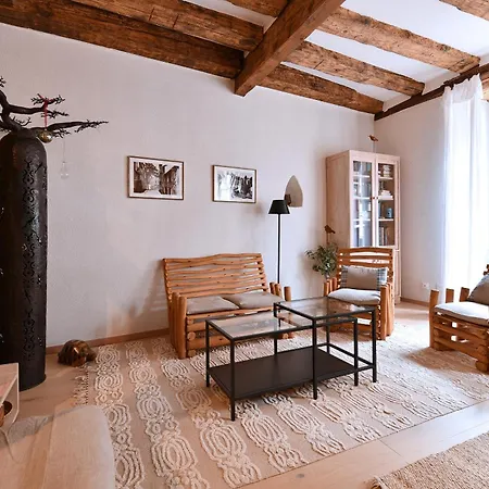L'harmonie Des Tanneurs Apartment *
