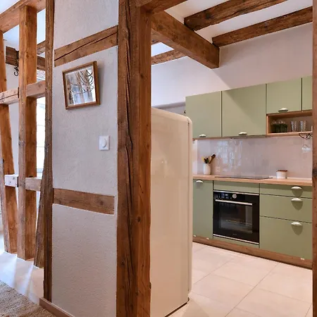 L'harmonie Des Tanneurs アパート コルマール