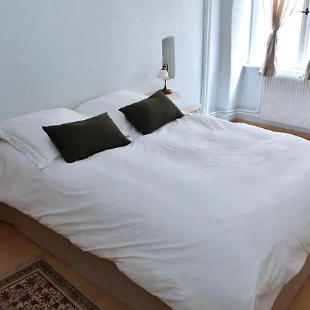 アパート L'harmonie Des Tanneurs コルマール