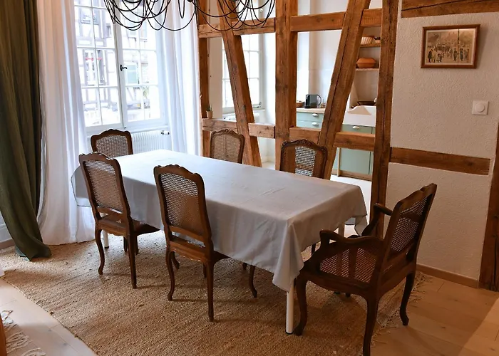 Appartement L'harmonie Des Tanneurs Colmar