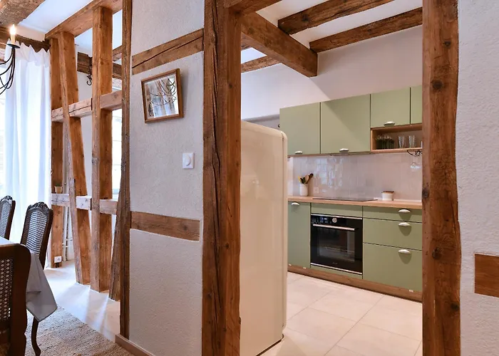 L'harmonie Des Tanneurs Apartament Colmar