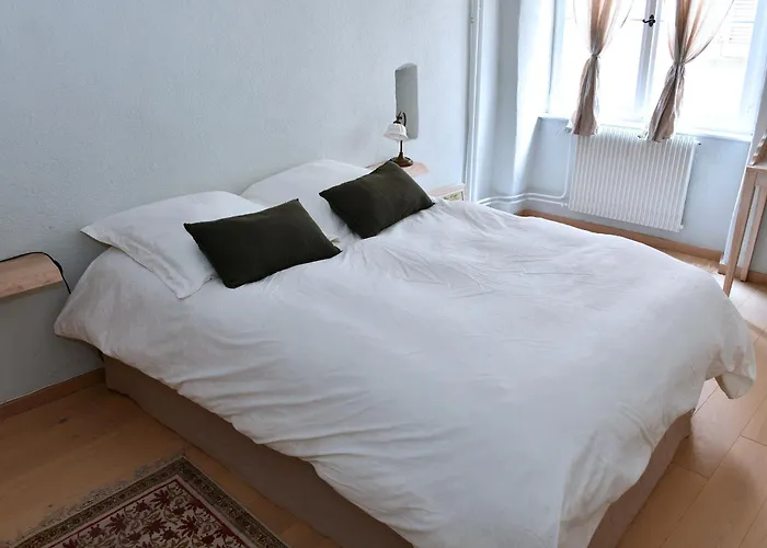 Apartament L'harmonie Des Tanneurs Colmar